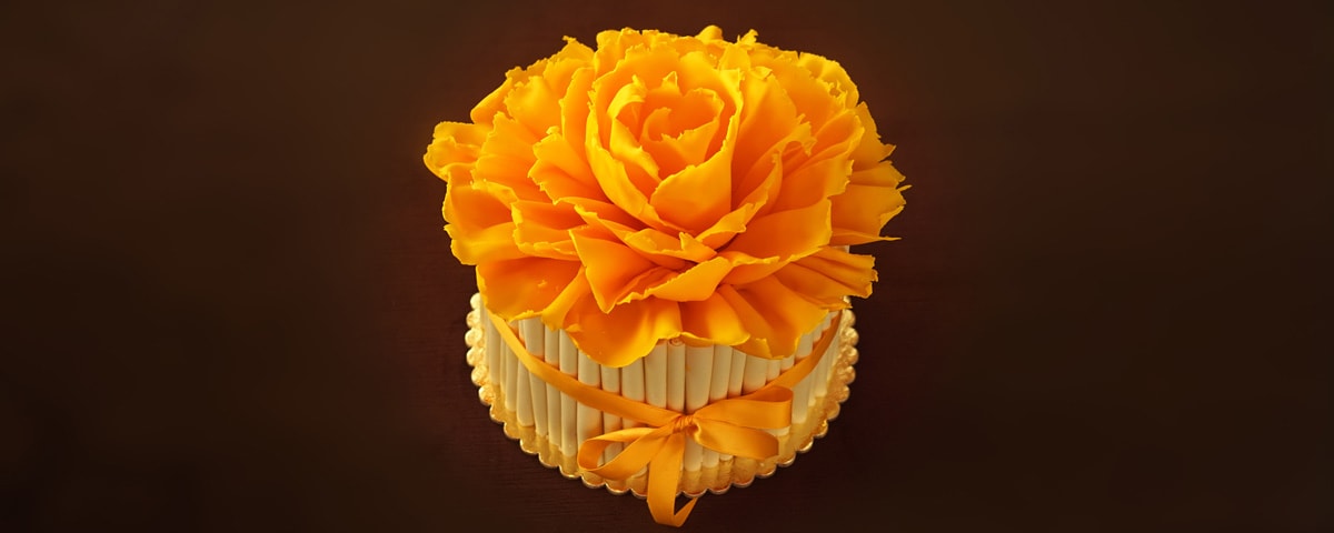 Cakes & Special Orders